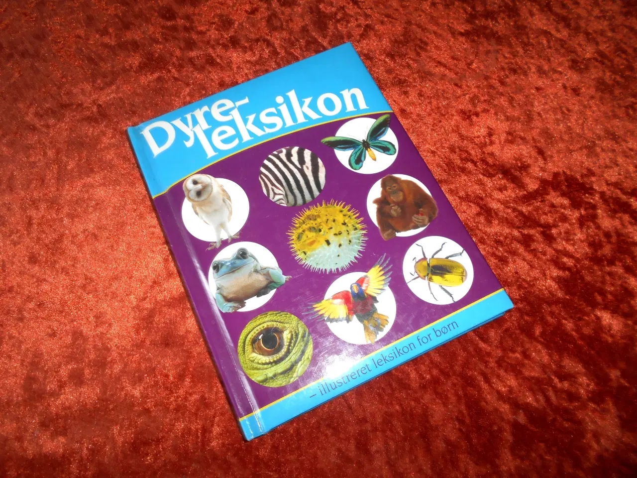 Billede 1 - Dyreleksikon Penelope Arlon,