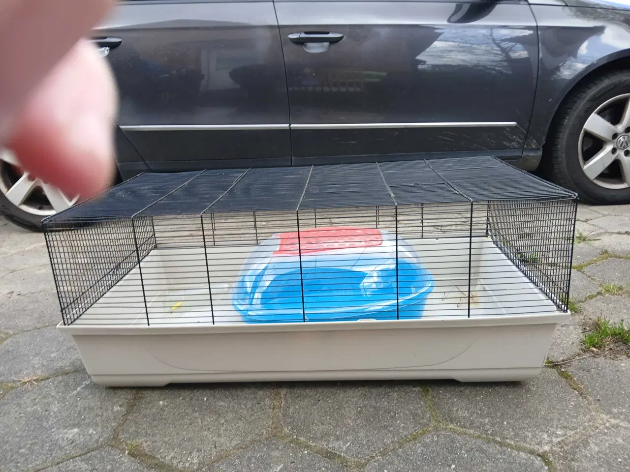 Billede 1 - Marsvin / kaninbur