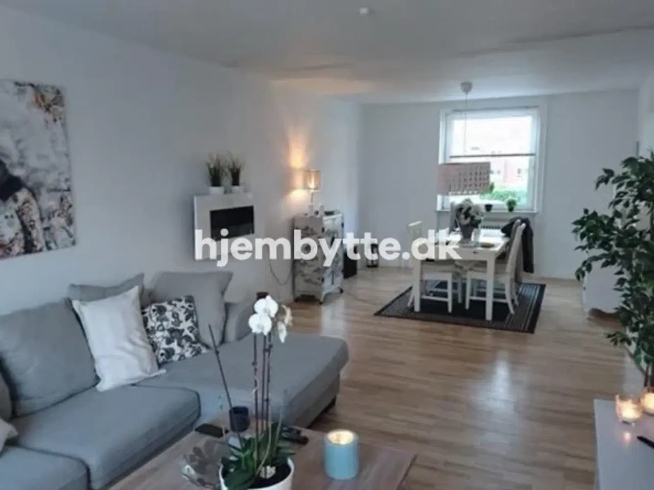 Billede 4 - Hjembytte - Tranevænget
