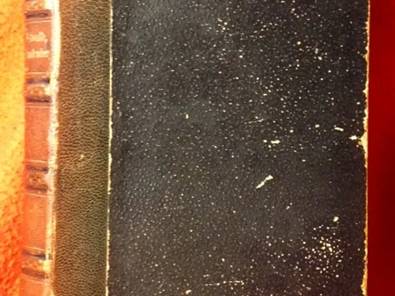 Billede 1 - H. F. Ewald: Anna Hardenberg