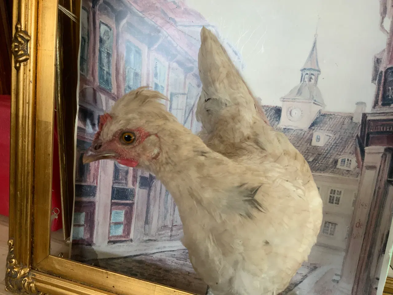 Billede 4 -  Niels Ebbesen på fremmarch som blandings hane