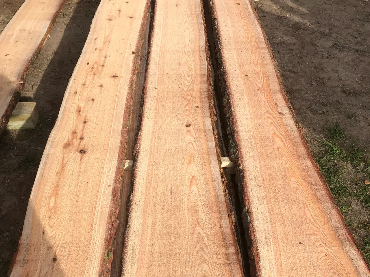 Billede 2 - Kalmarbrædder lærketræ