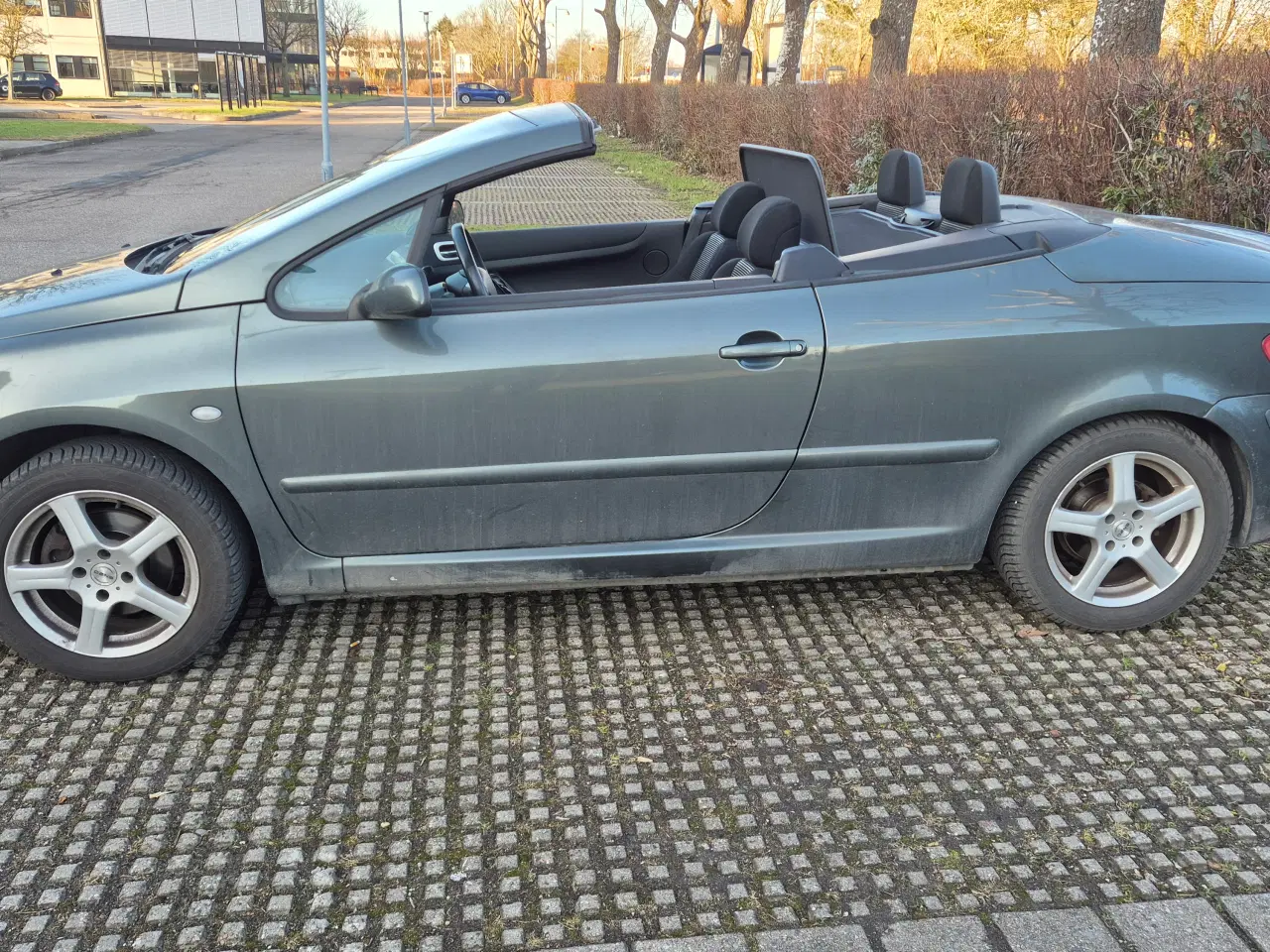 Billede 7 - Peugeot 307 cabriolet 