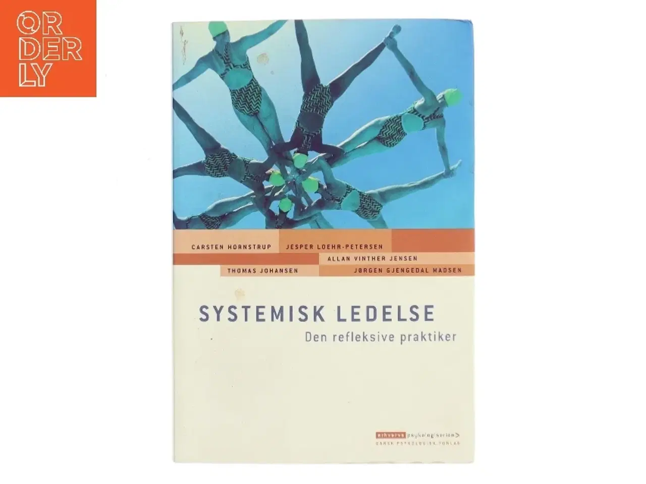 Billede 1 - Systemisk ledelse : den refleksive praktiker af Carsten Hornstrup (Bog)