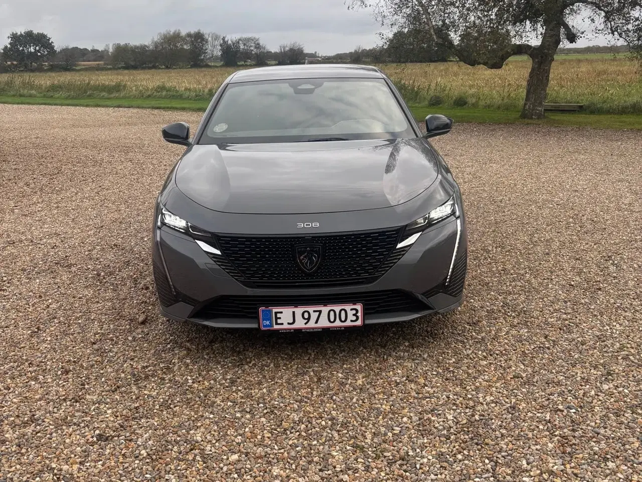 Billede 2 - Peugeot e-308 54 Allure SW