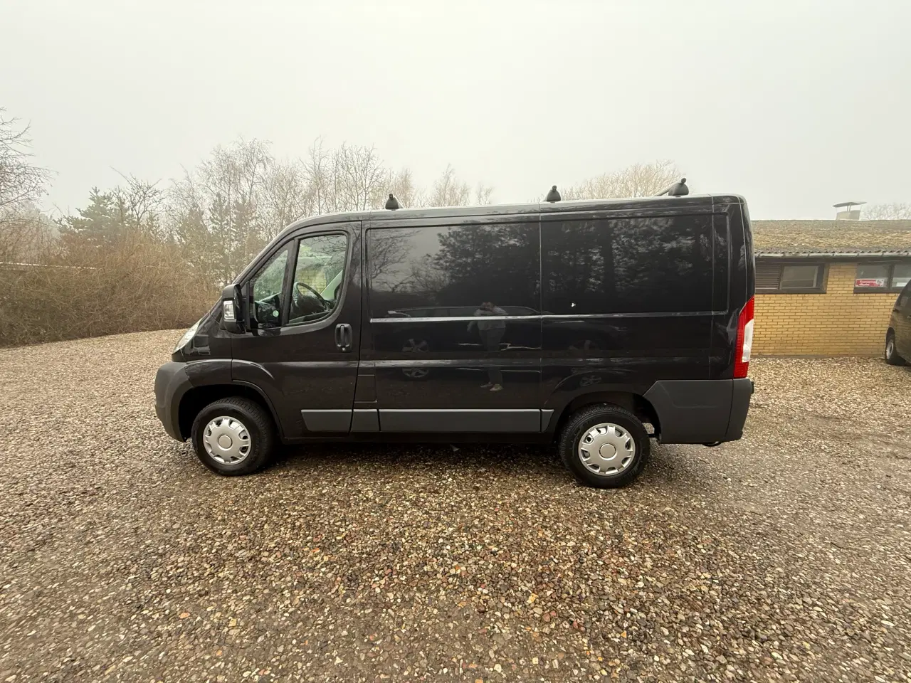 Billede 8 - Pænt boxer fra 2014 