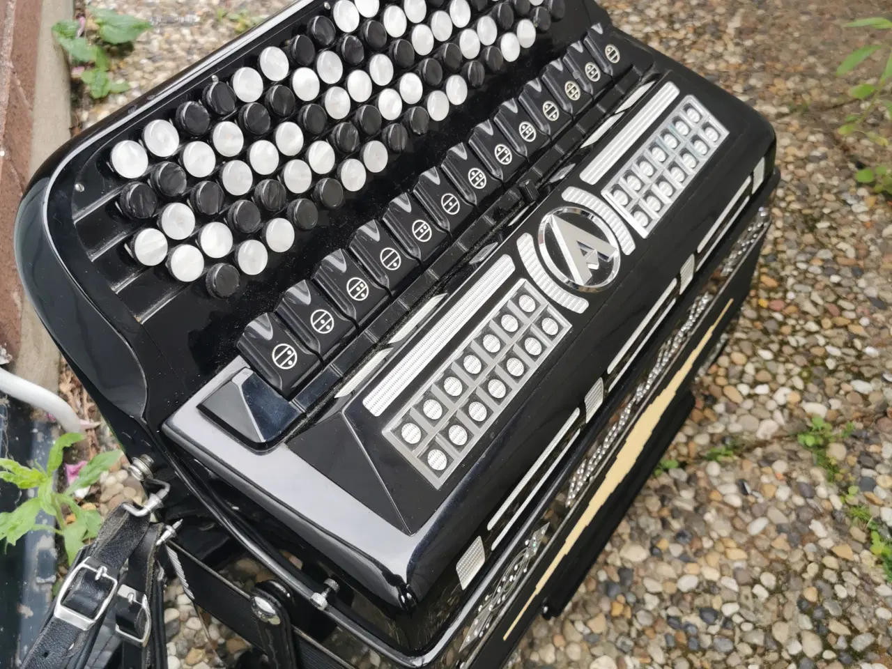 Billede 1 - Harmonika Accordiola Super Italia 