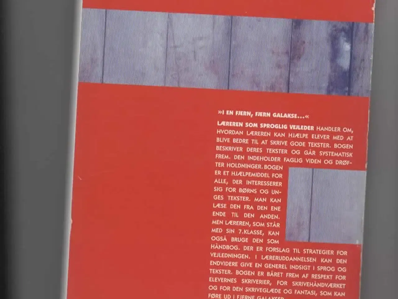 Billede 2 - dansk/sprogvejleder