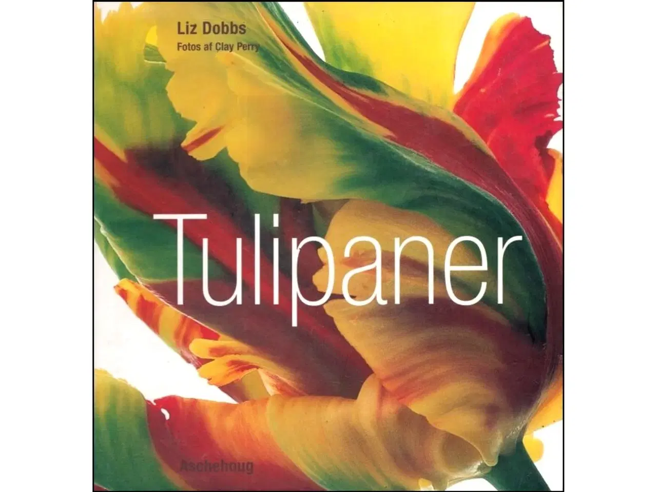 Billede 1 - Tulipaner