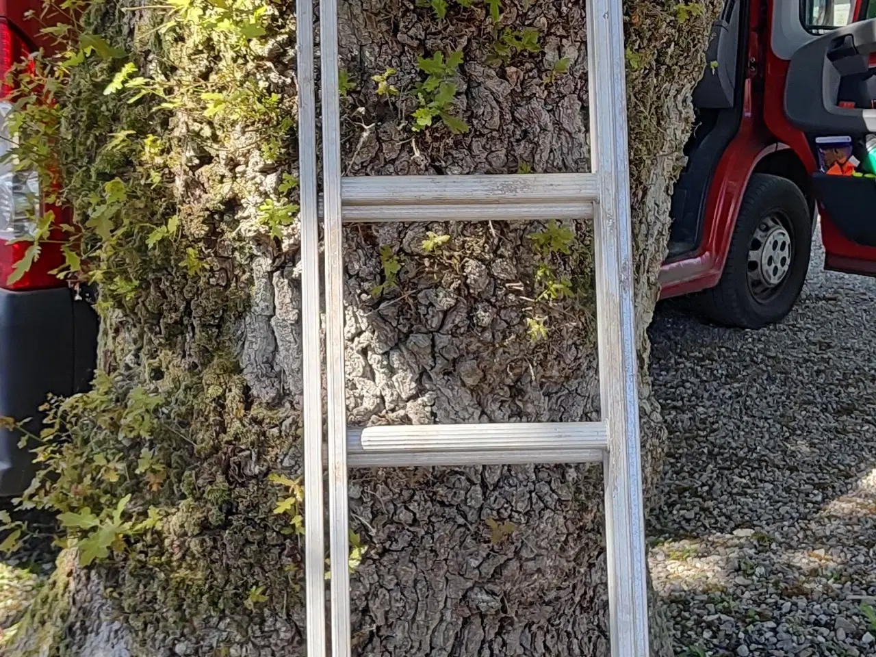 Billede 1 - Alu stige, udtræk. 