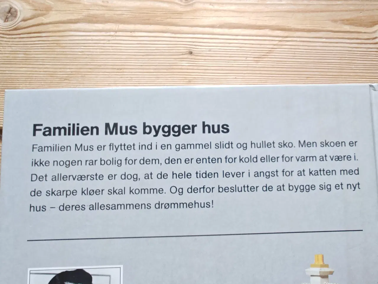 Billede 2 - Familien Mus bygger hus BOG
