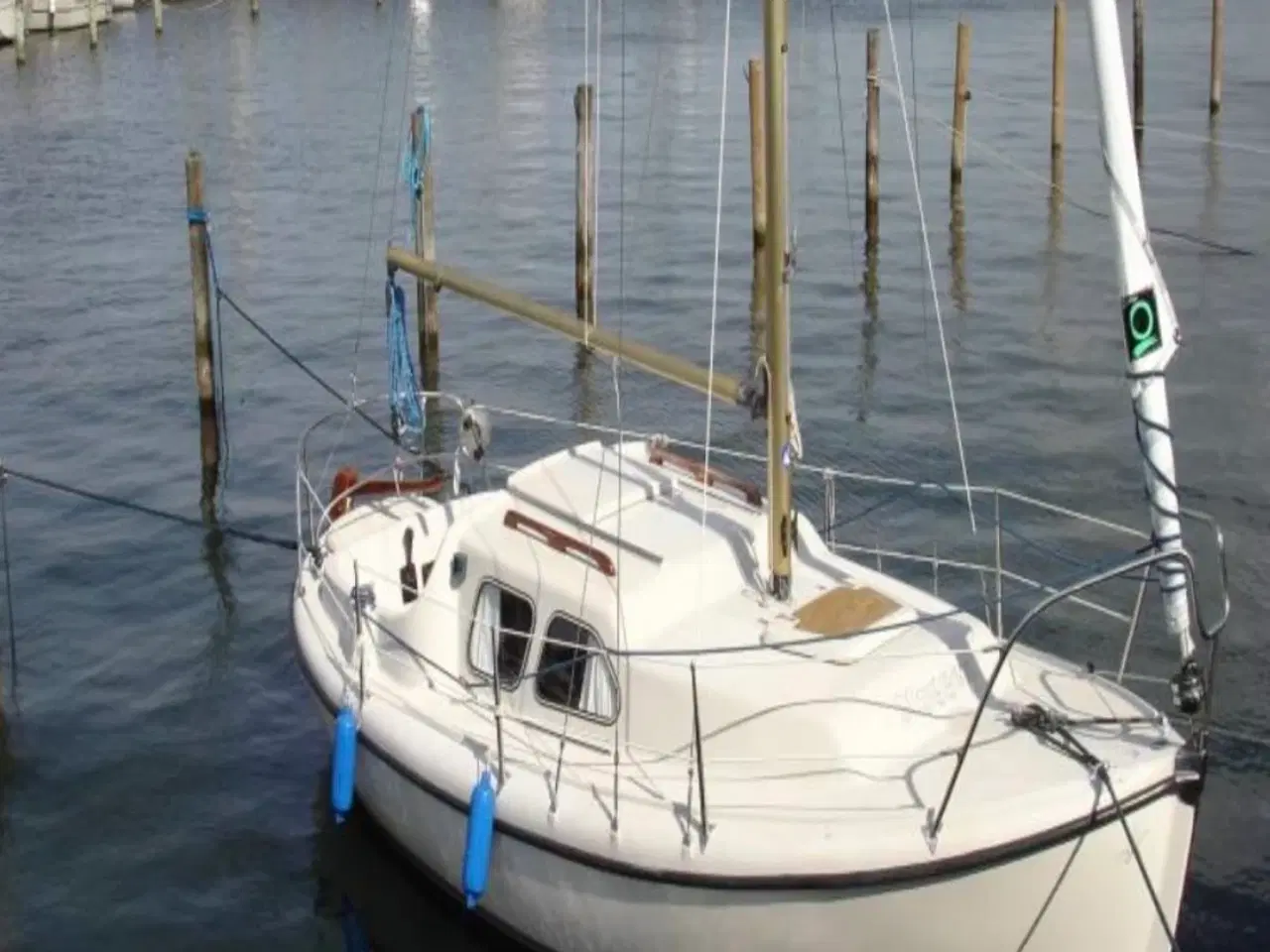 Billede 2 - Lynæs Senior 18