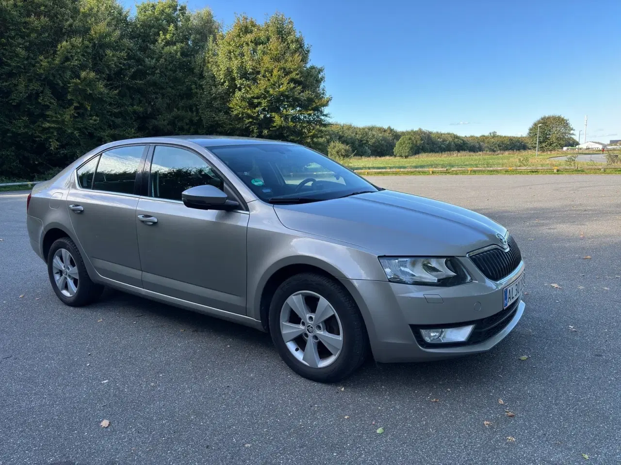 Billede 3 - Skoda Octavia 1,4 TSi 140 Elegance DSG
