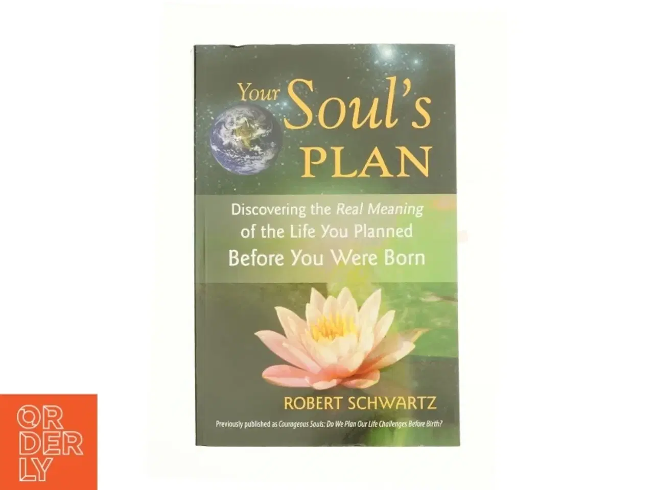 Billede 1 - Your Soul&#39;s Plan af Robert Schwartz (Bog)