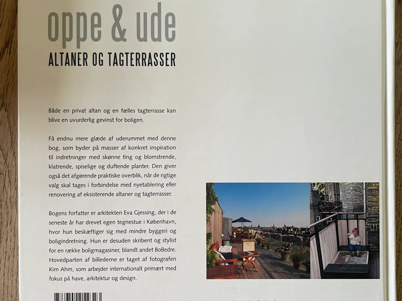 Billede 2 - oppe & ude Altaner og tagterrasser,  Eva Gjessing