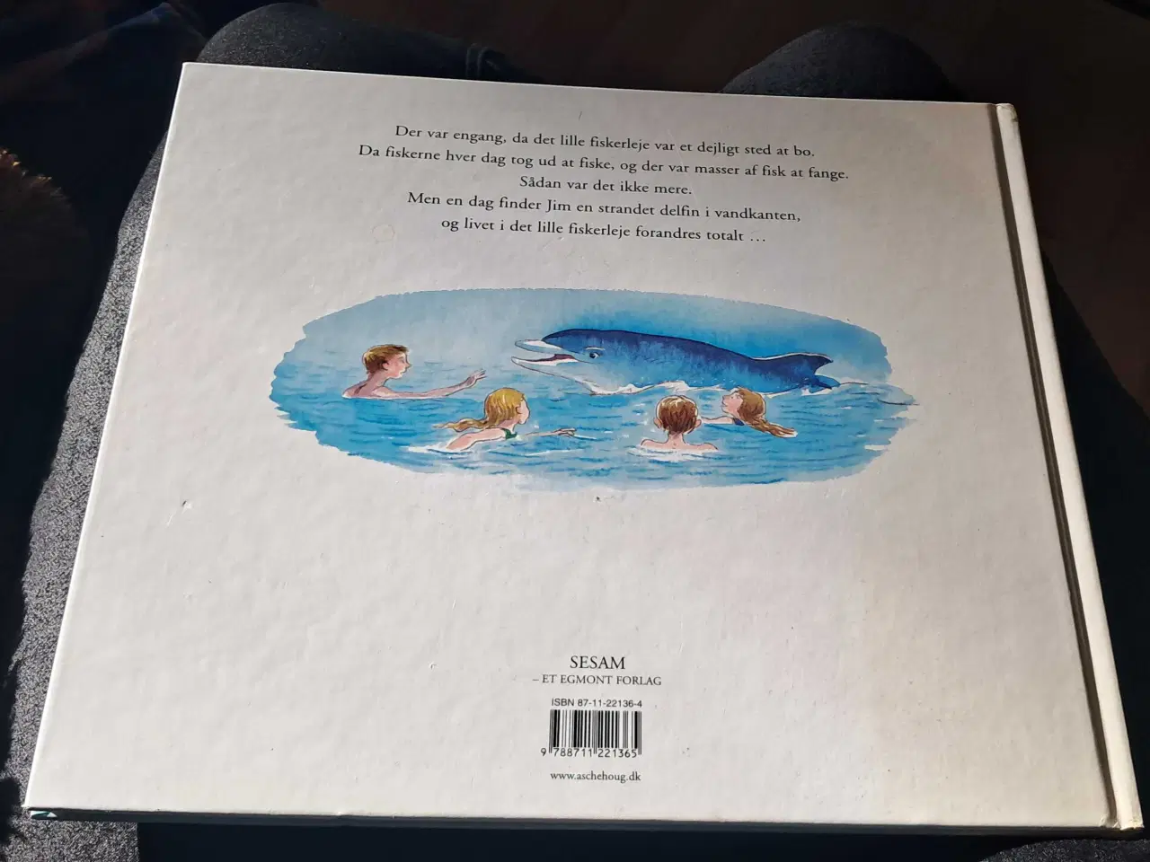 Billede 2 - Drengen og delfinen 