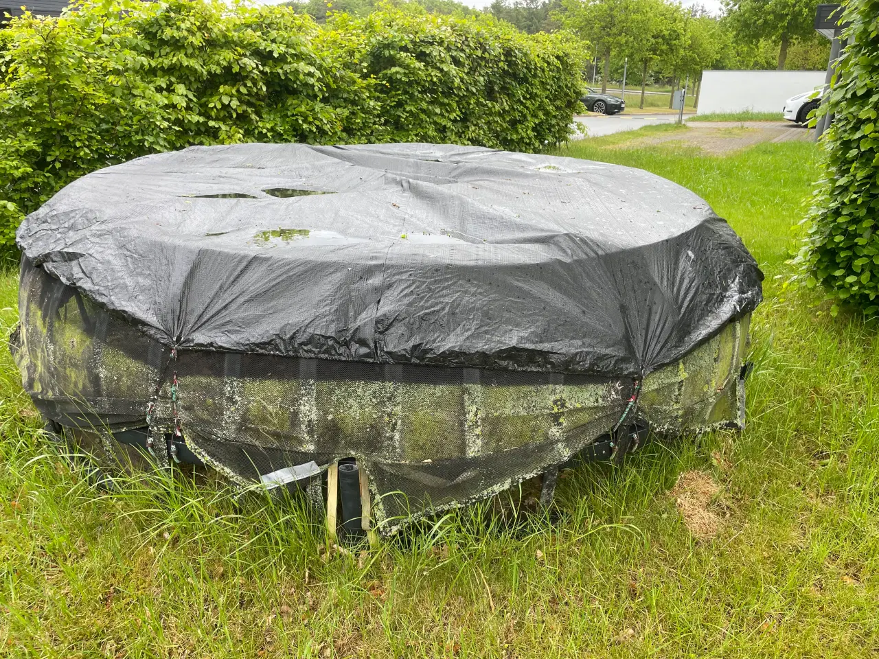 Billede 4 - Trampolin Vuly Thunder Pro