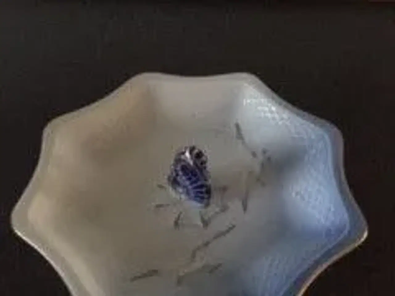 Billede 1 - Lille kagefag Mågestel med guldkandt