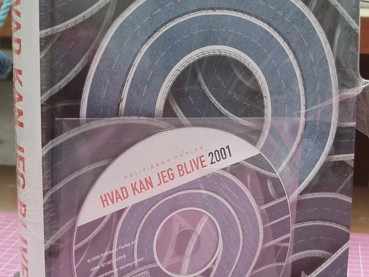 Billede 1 - Hvad kan jeg blive 2001