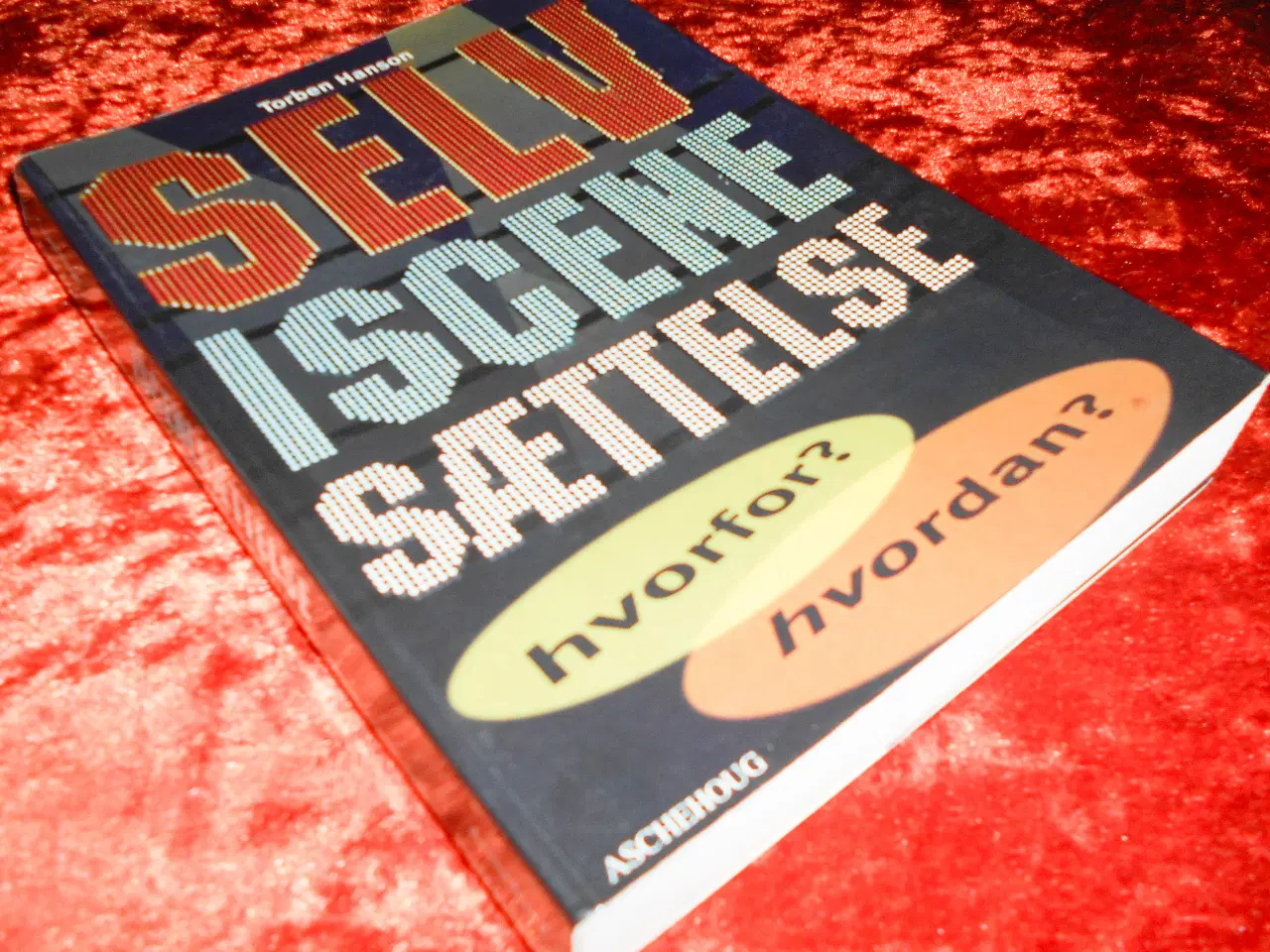 Billede 1 - Selviscenesættelse, Torben Hansen,