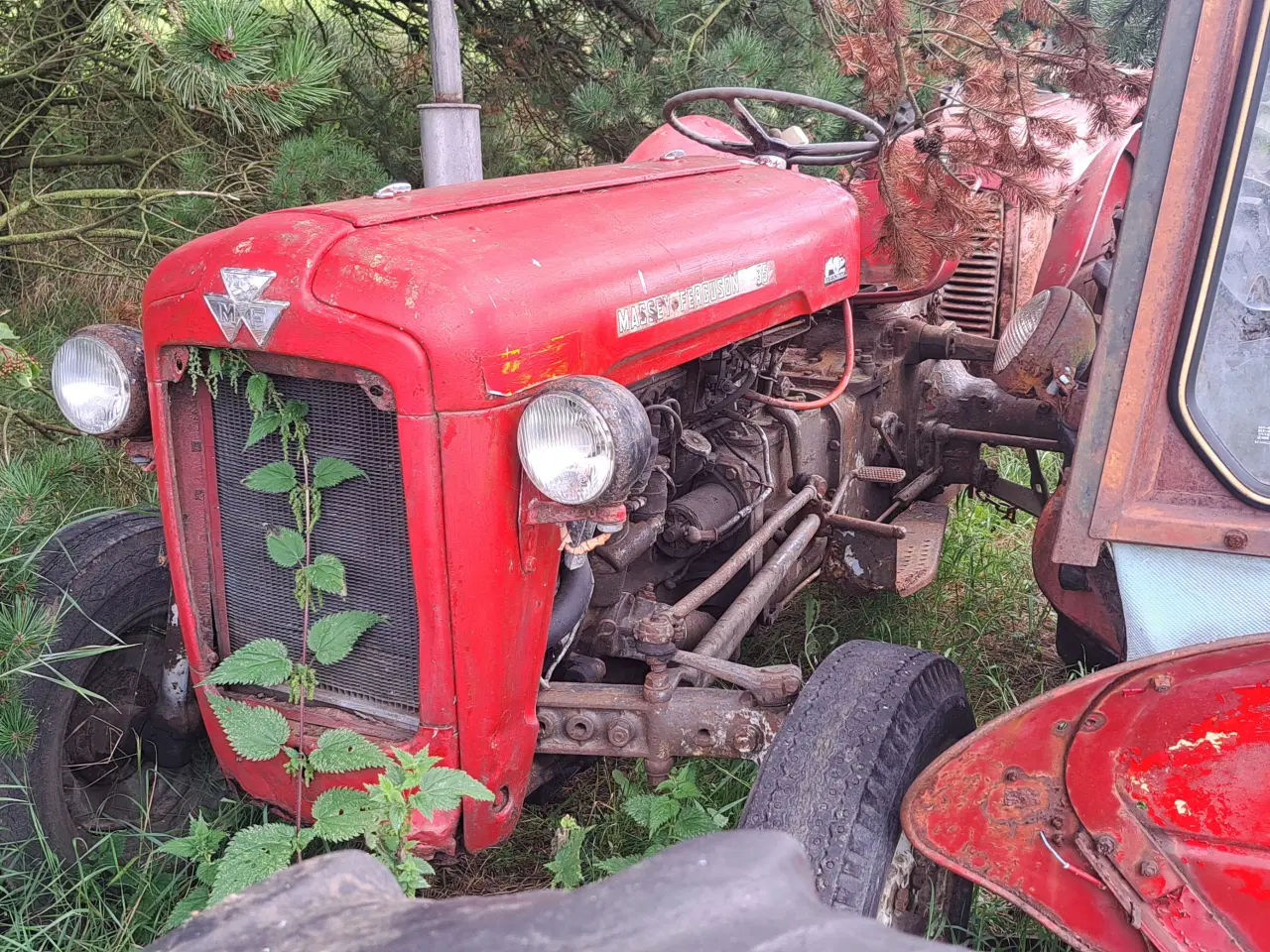 Billede 8 - Massey Ferguson traktor 