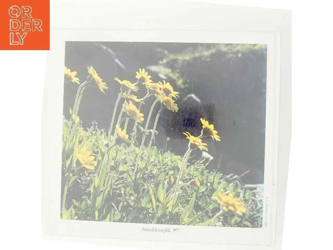 Billede 3 - Naturbevaring i Grønland (Bog)