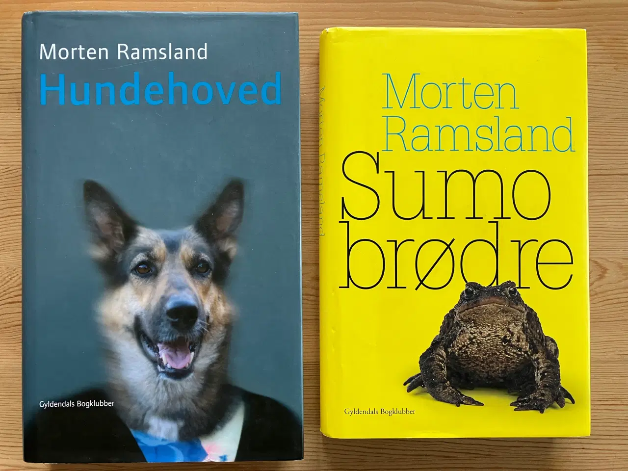 Billede 1 - Morten Ramsland, 2 romaner