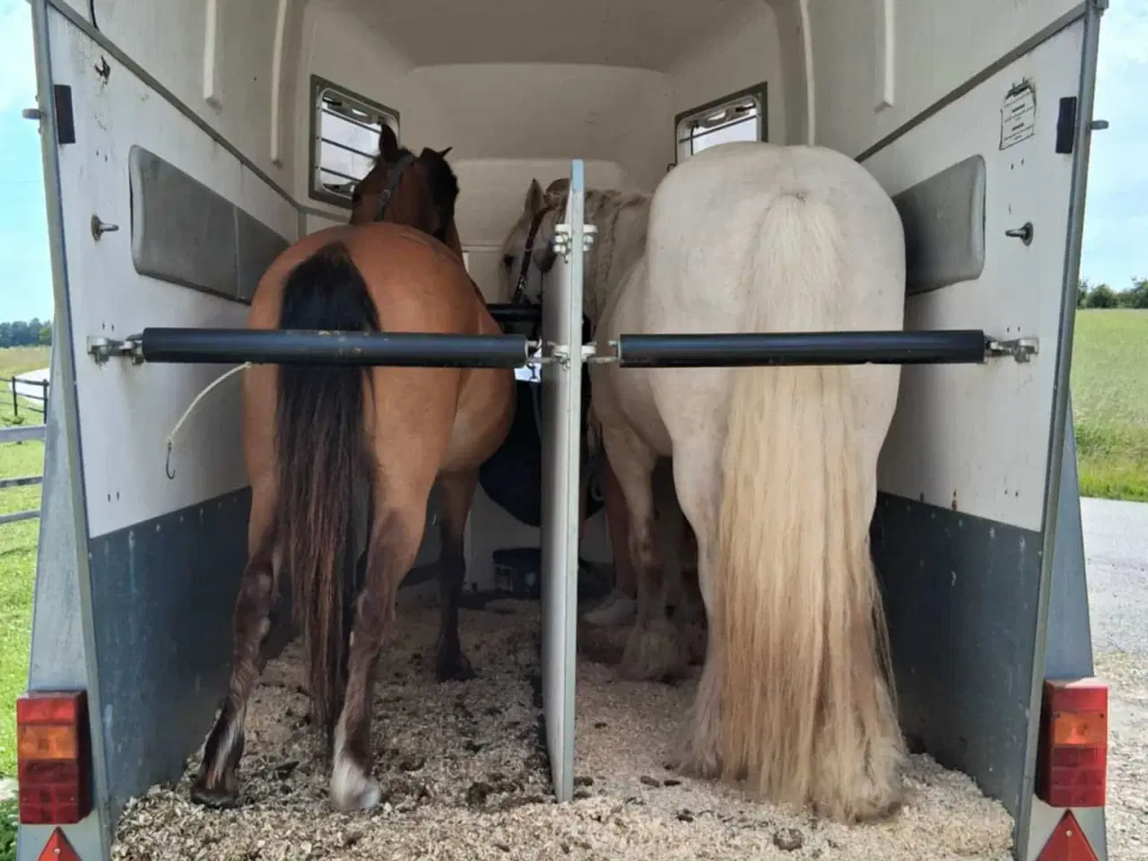 Billede 4 - børnepony /Næsten begynder pony / bytte