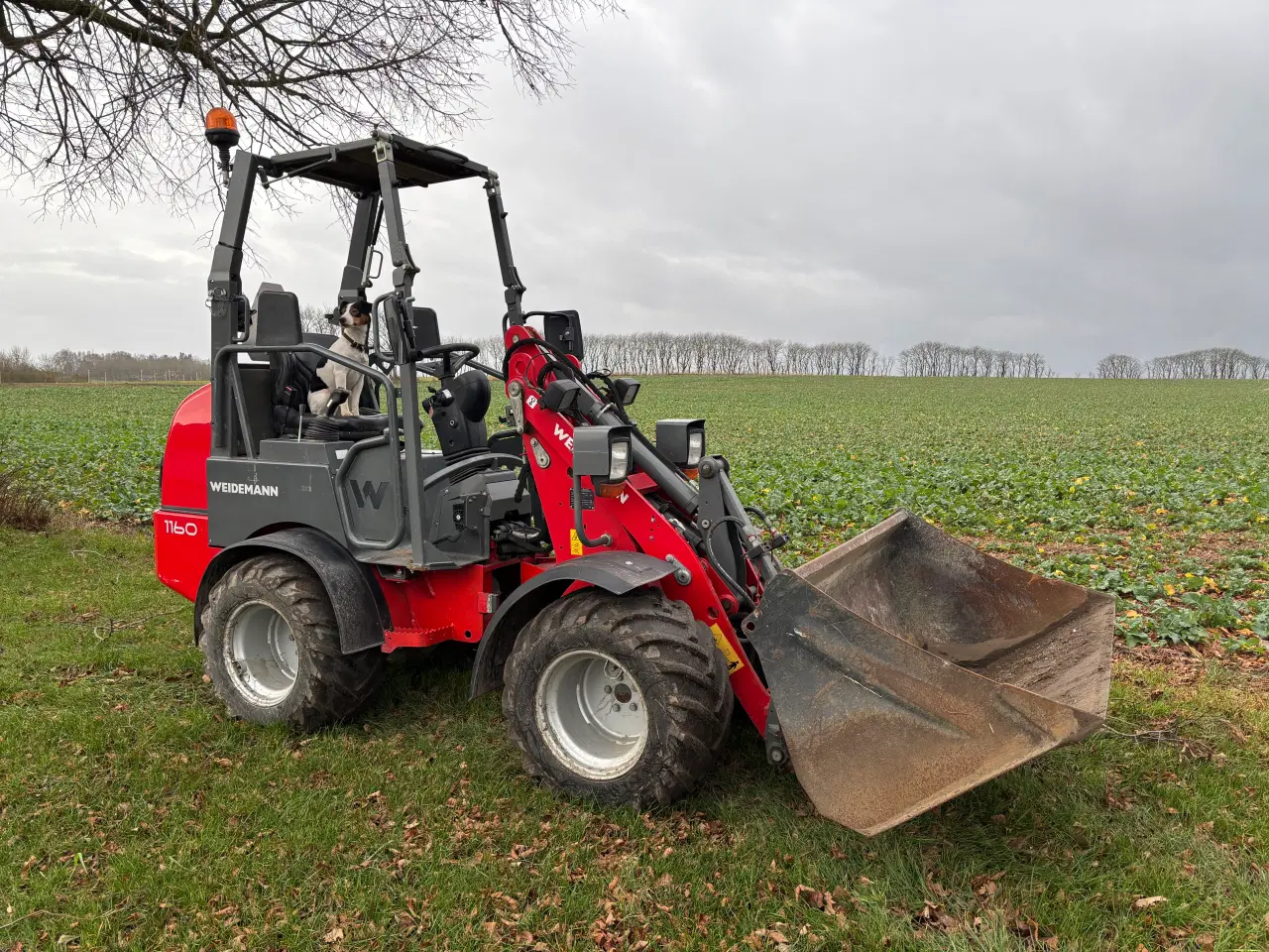 Billede 2 - Weidemann 1160e ELEKTRISK