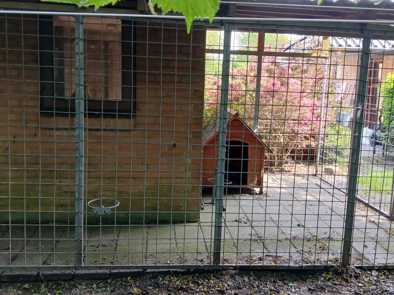 Billede 3 - Hundegård
