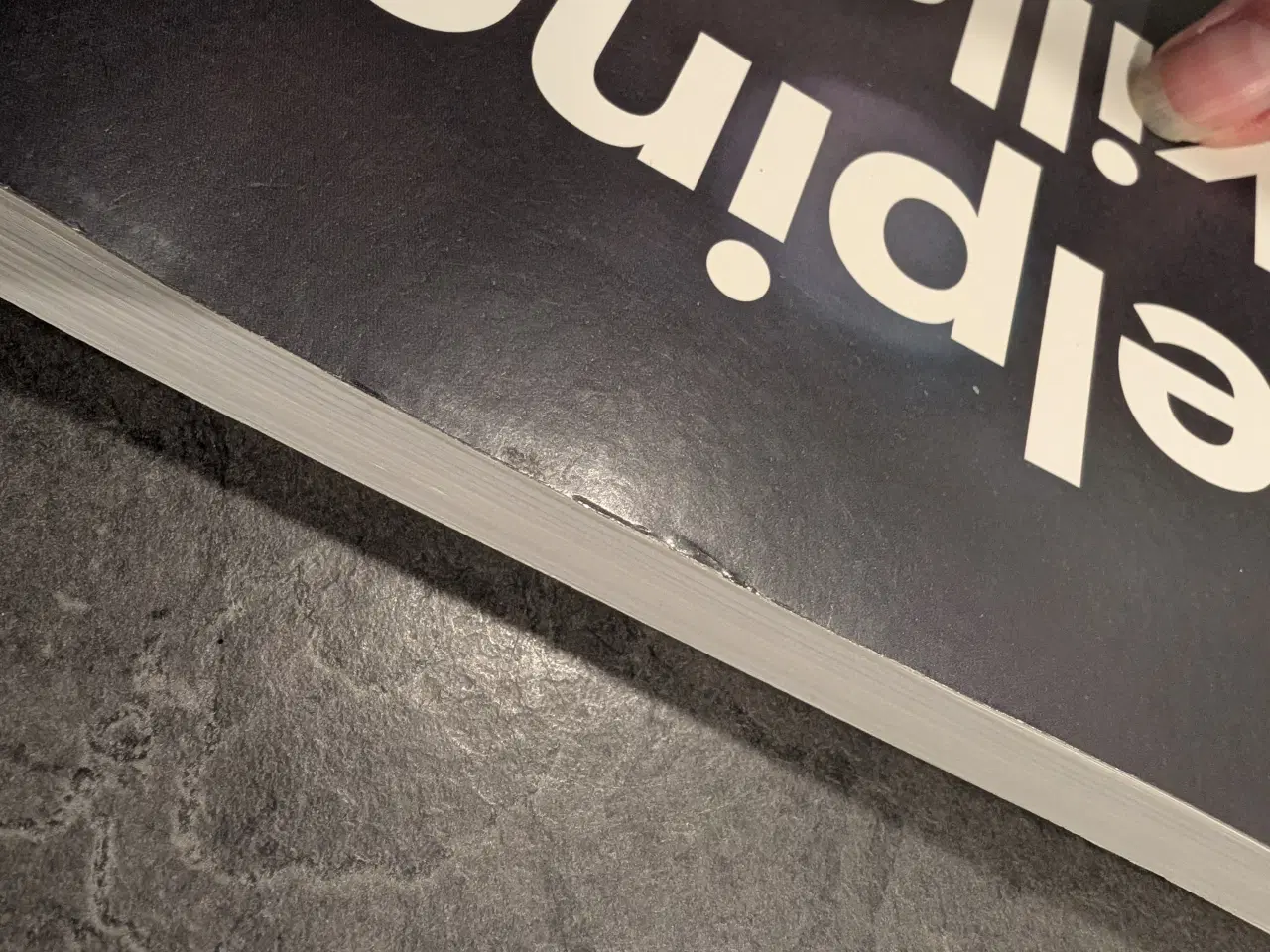 Billede 7 - Clara E. Hill Helping Skills bog