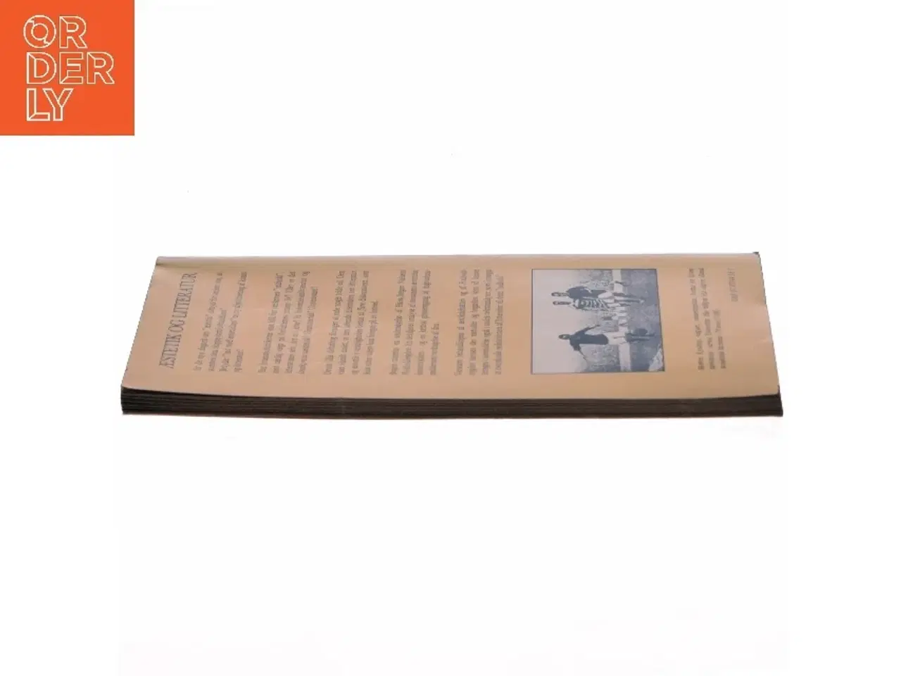 Billede 3 - Morten Kyndrup: Æstetik og litteratur