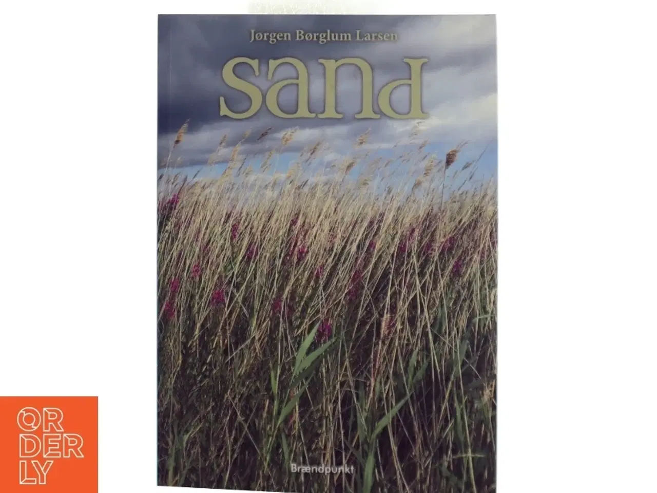 Billede 1 - Sand : roman af Jørgen Børglum Larsen (Bog)