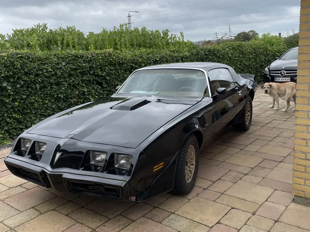 Billede 1 - Pontiac Trans Am 6,6