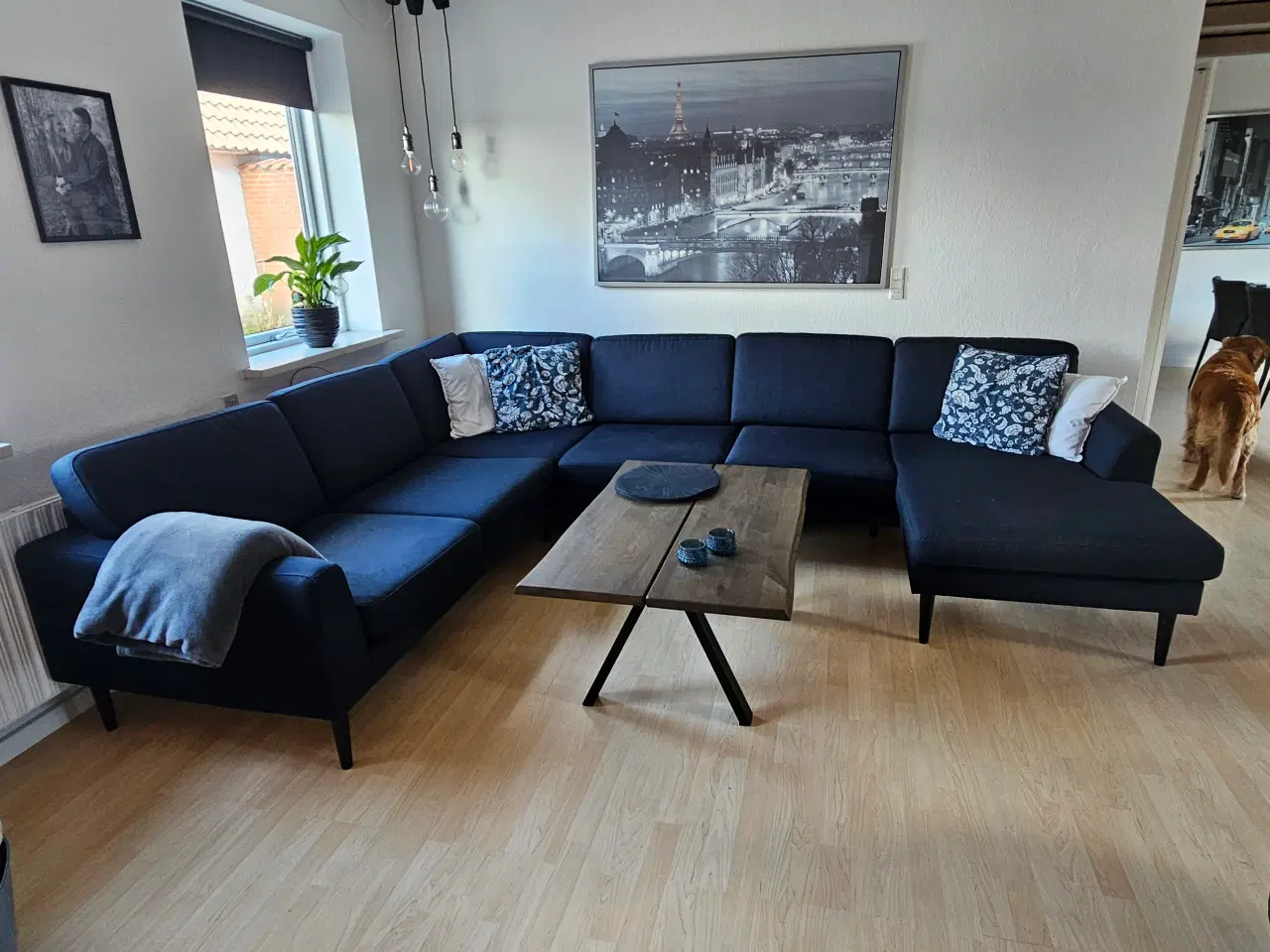 Billede 2 - Blå stof sofa