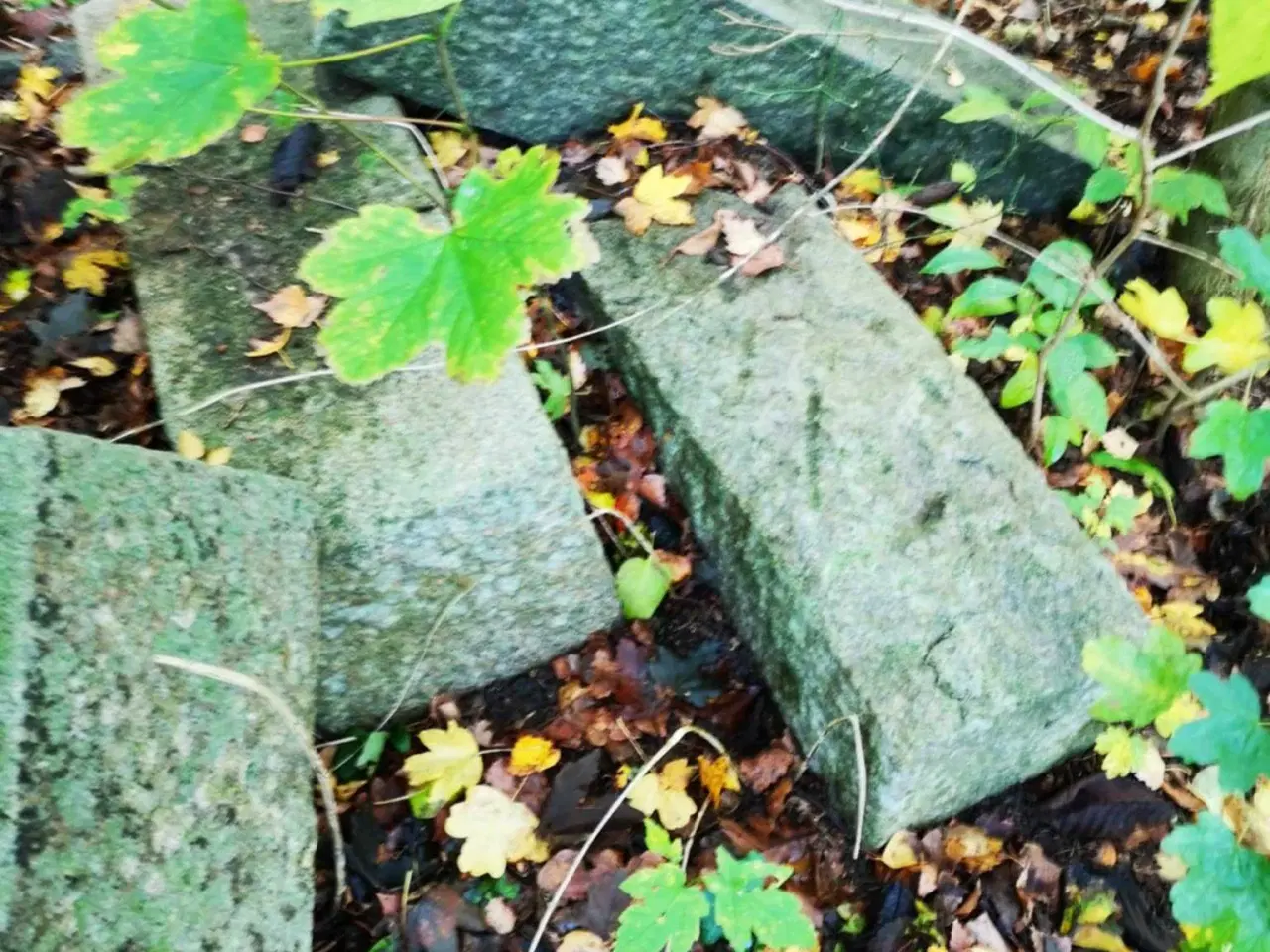 Billede 2 - Granitsten – ægte massiv granit, perfekt til have