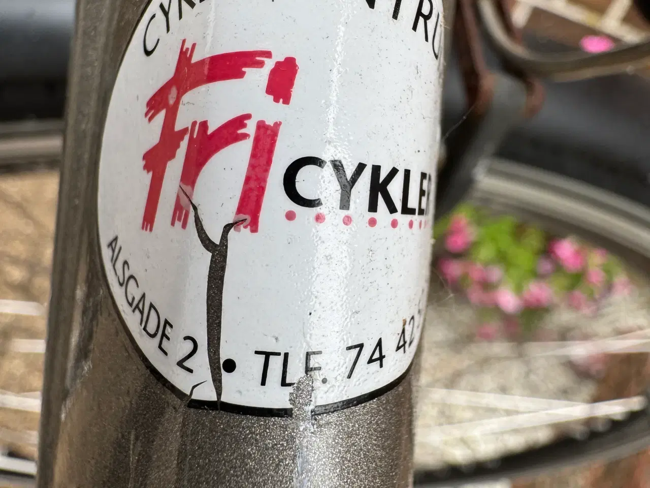 Billede 3 - Juniorcykel / Damecykel,  Kildemoes Street ,7 gear