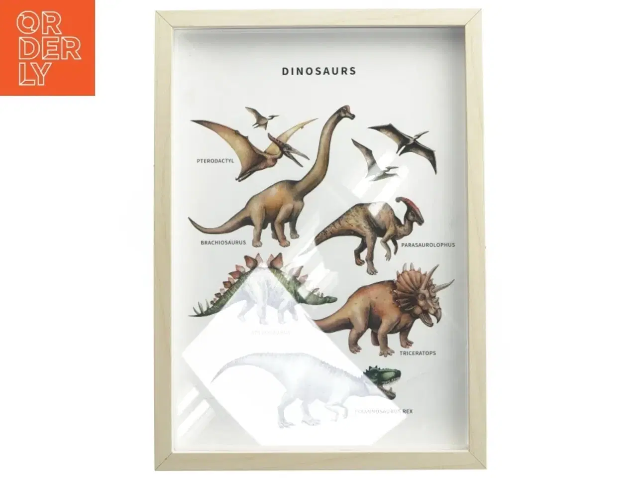 Billede 1 - Dinosaurillustration i ramme (str. 32x23 cm)