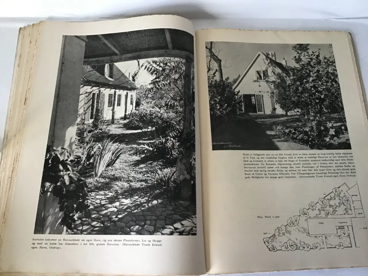 Billede 2 - Fra urtegaard og blomsterhave