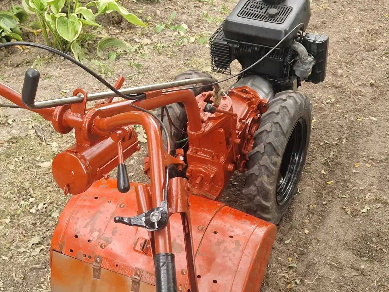 Billede 6 - Nibbi bruno med kohler AT 330 motor. 
