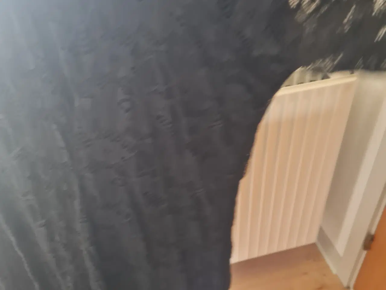 Billede 6 - Ny blonde kjole str 54 fra Zizzi 