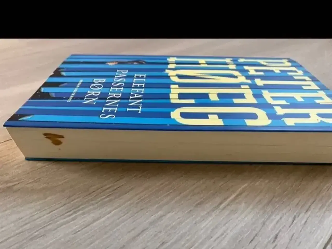 Billede 2 - Elefantpassernes børn- Peter Høeg