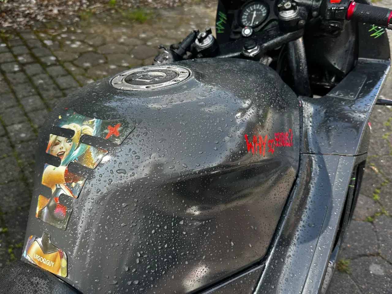 Billede 3 - honda cbr 600f3