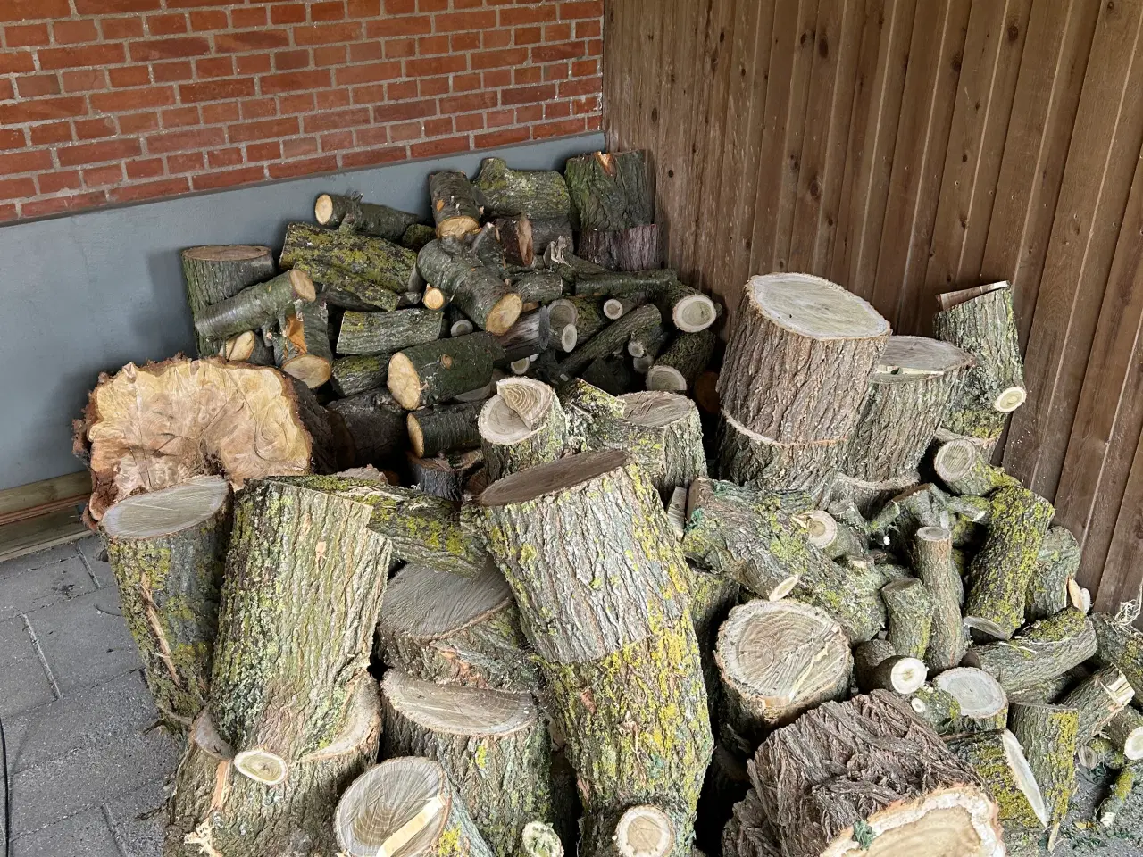 Billede 5 - Brænde til vinteren