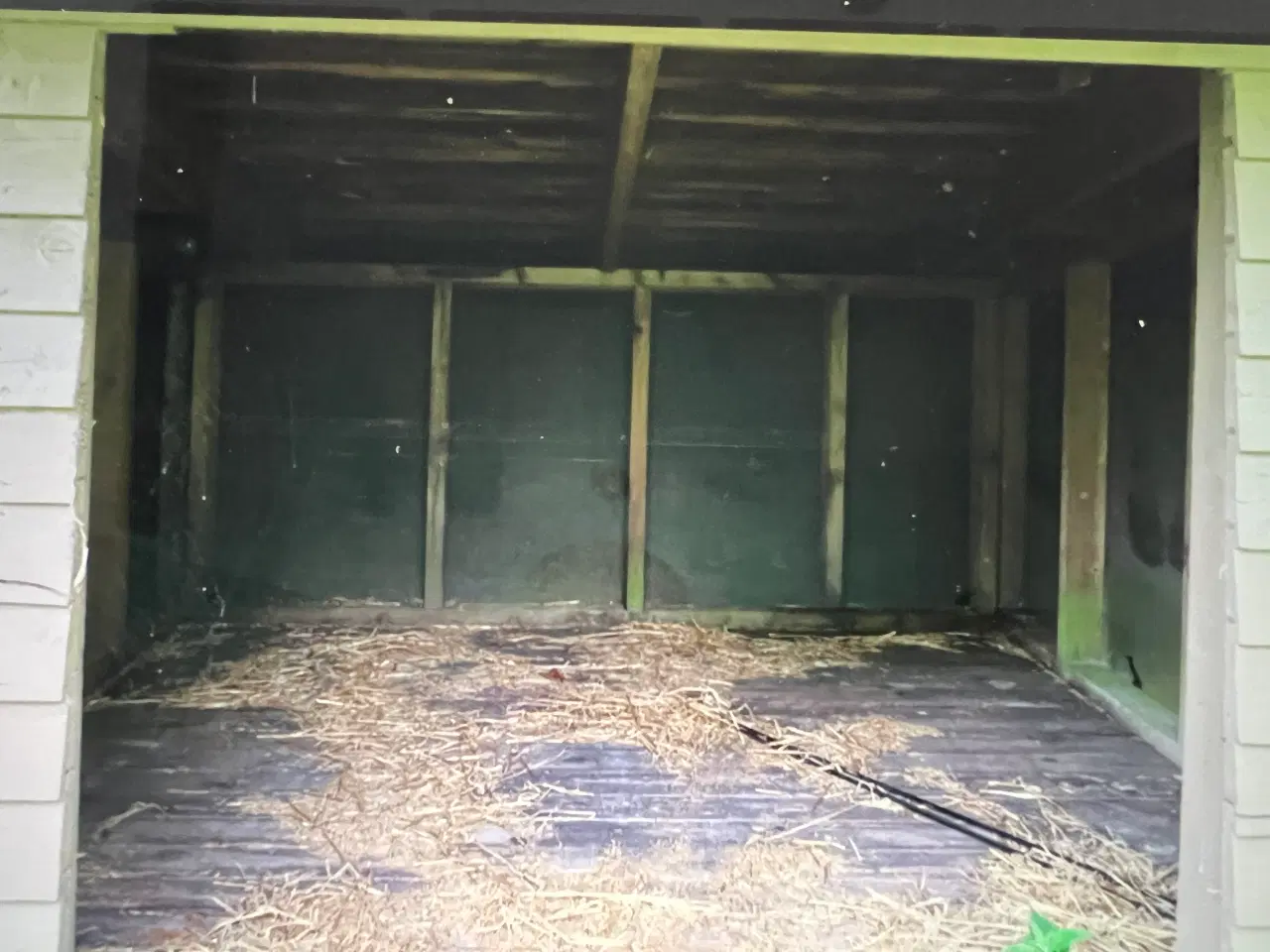 Billede 3 - Shelter flyt selv 