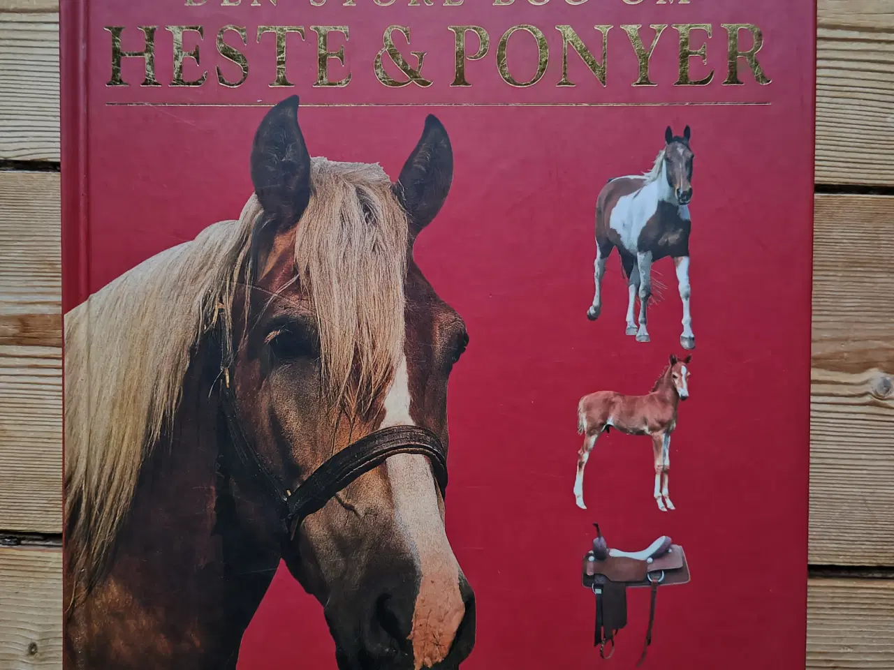 Billede 1 - Den store bog om heste & ponyer BOG Heste og Pony