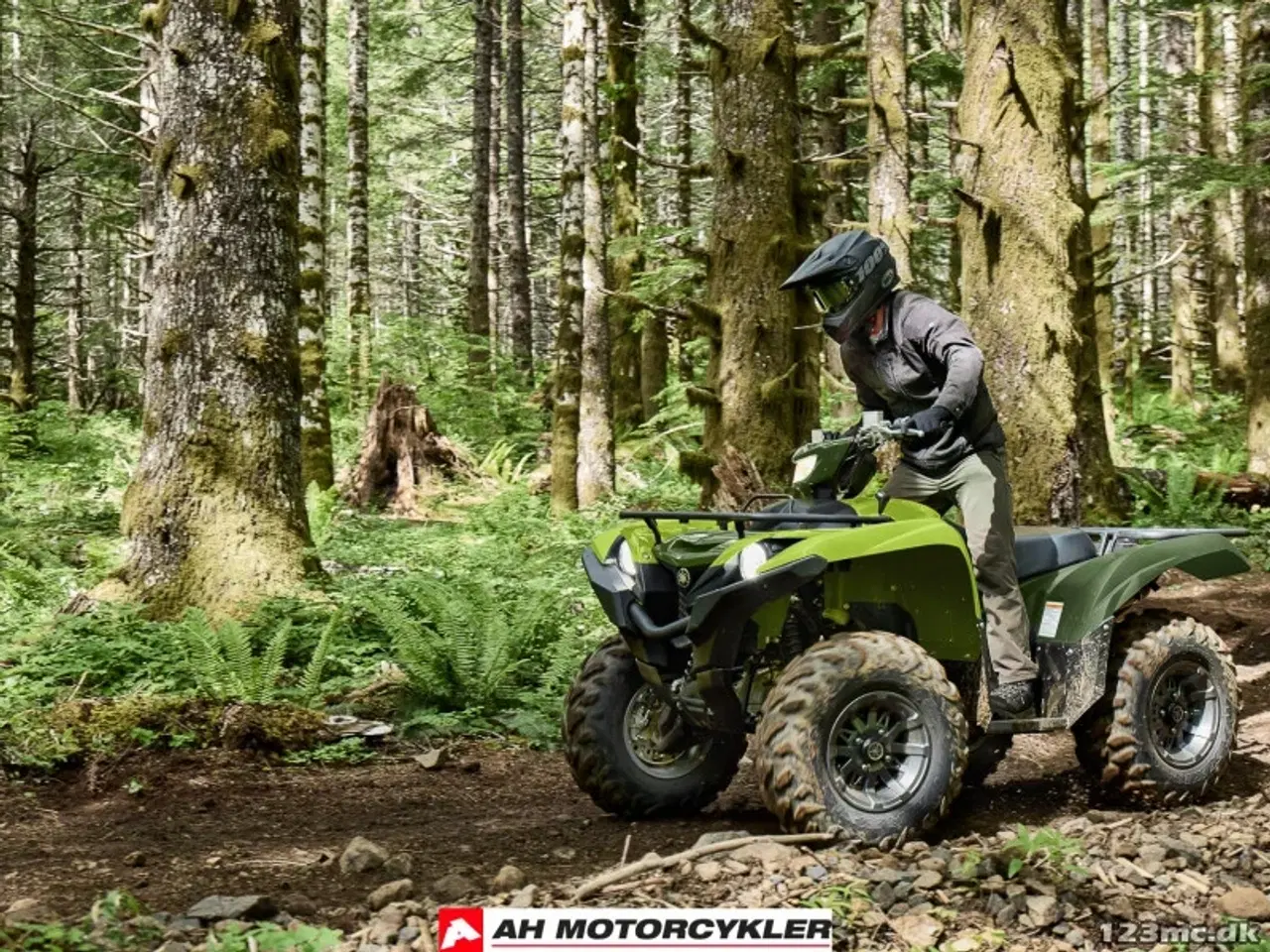 Billede 10 - Yamaha Grizzly 700 EPS Traktor