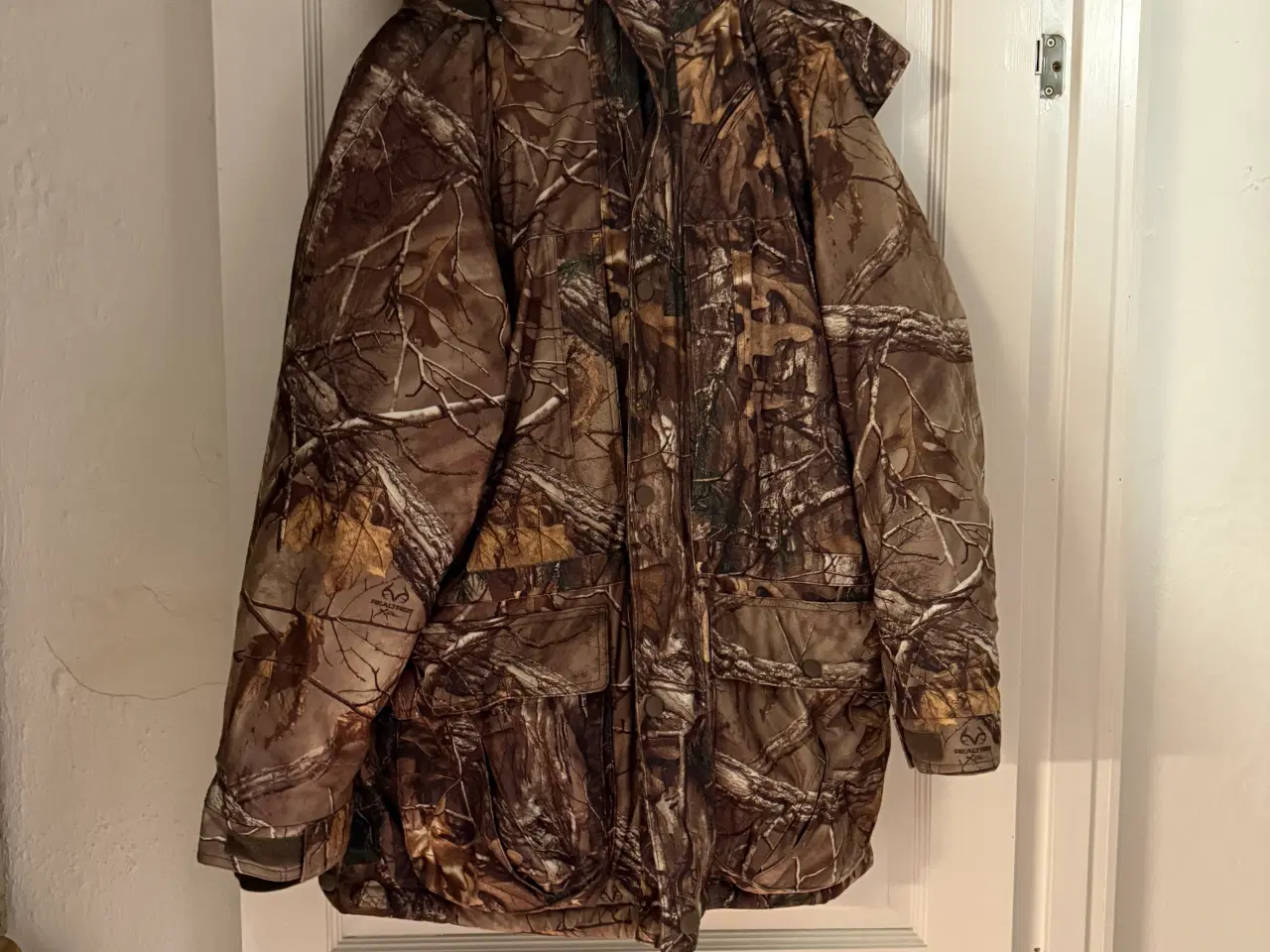 Billede 1 - Rusky - Deerhunter