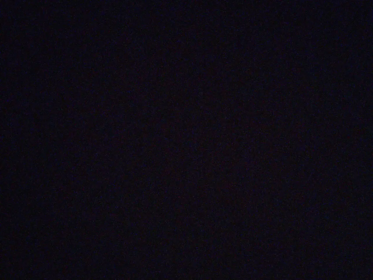 Billede 1 - Søger påfugle ruge æg 