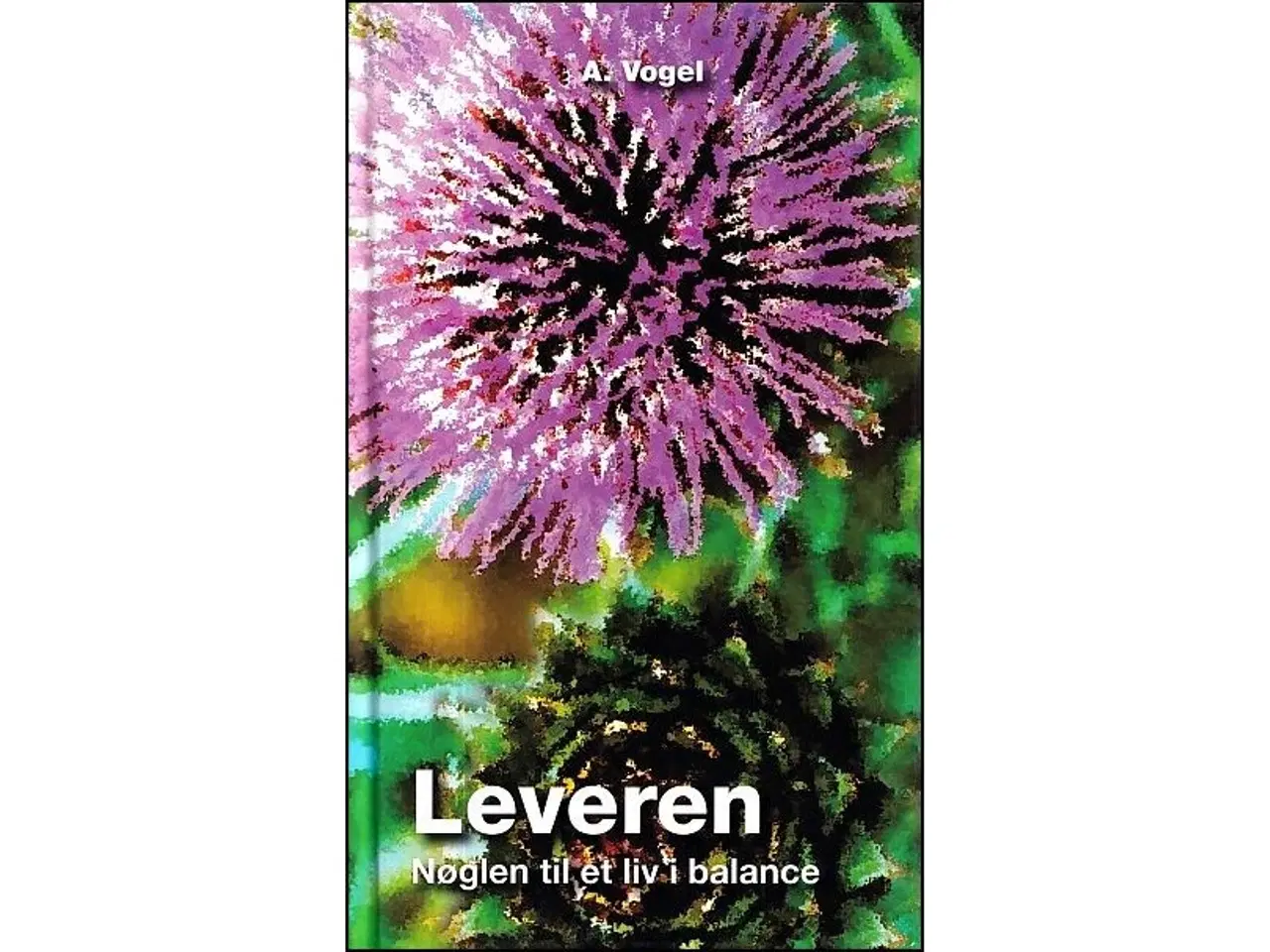 Billede 1 - Leveren - nøglen til et liv i balance